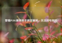 警惕PUBG画质助手微信骗局，关注封号风险