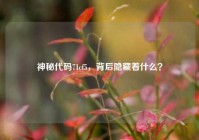 神秘代码71cf5，背后隐藏着什么？