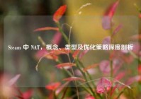 Steam 中 NAT，概念、类型及优化策略深度剖析