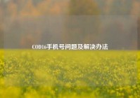 COD16手机号问题及解决办法