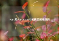 PUBG及PUBGMobile中的搞笑尴尬瞬间