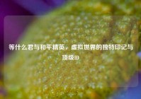 等什么君与和平精英，虚拟世界的独特印记与顶级ID