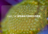 CSGO，VAC 掉线困扰与游戏生态困境