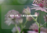 暗影之殇，兰陵王的隐秘情愫