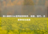 深入解析PUBG官网皮肤购买，流程、技巧、注意事项及渠道