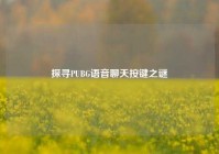 探寻PUBG语音聊天按键之谜