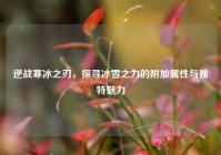 逆战寒冰之刃，探寻冰雪之力的附加属性与独特魅力