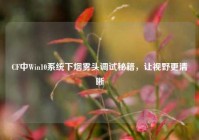 CF中Win10系统下烟雾头调试秘籍，让视野更清晰