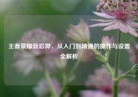 王者荣耀新后羿，从入门到精通的操作与设置全解析