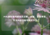 PUBG国际服鸡腿购买详解，流程、注意事项、常见问题及账号购买平台