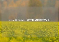 Steam 与 Switch，游戏世界的奇妙交汇