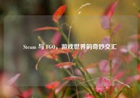 Steam 与 FGO，游戏世界的奇妙交汇