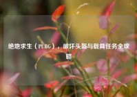 绝地求生（PUBG），破坏头盔与载具任务全攻略