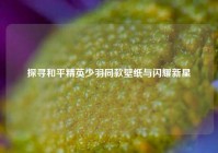 探寻和平精英少羽同款壁纸与闪耀新星