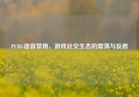 PUBG语音禁用，游戏社交生态的震荡与反思