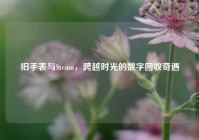 旧手表与Steam，跨越时光的数字回收奇遇