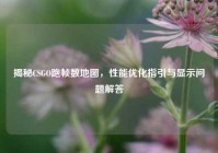 揭秘CSGO跑帧数地图，性能优化指引与显示问题解答