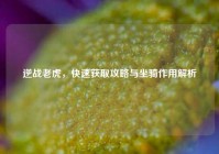 逆战老虎，快速获取攻略与坐骑作用解析