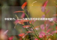 中配助力，Steam与堀与宫村开启游戏新体验