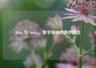 Edge 与 Steam，数字领域的奇妙融合