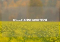在Steam匹配中邂逅的奇妙伙伴