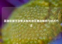 英雄联盟手游拳头账号地区要点解析与修改方法