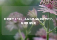 绝地求生（PUBG）不同版本与同类游戏对比，探寻独特魅力