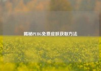 揭秘PUBG免费皮肤获取方法
