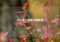PUBG账户创建详细指南