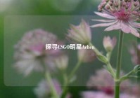 探寻CSGO明星Achen