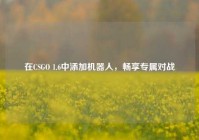 在CSGO 1.6中添加机器人，畅享专属对战
