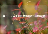 双十一，CSGO虚拟战场与购物狂欢的奇妙交织