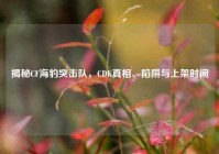 揭秘CF海豹突击队，CDK真相、陷阱与上架时间