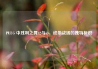PUBG 中胜利之舞62与63，绝地战场的独特标识
