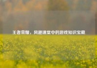 王者荣耀，风趣课堂中的游戏知识宝藏