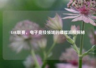 LOL联赛，电子竞技领域的璀璨流程探秘