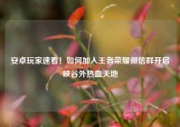安卓玩家速看！如何加入王者荣耀微信群开启峡谷外热血天地