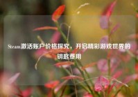 Steam激活账户价格探究，开启精彩游戏世界的钥匙费用