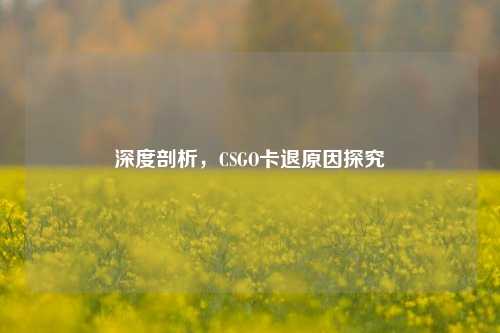 深度剖析，CSGO卡退原因探究