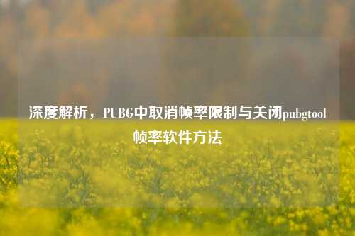 深度解析，PUBG中取消帧率限制与关闭pubgtool帧率软件方法