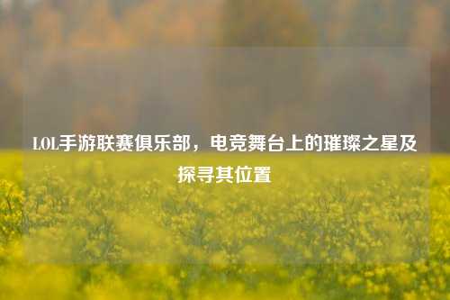 LOL手游联赛俱乐部，电竞舞台上的璀璨之星及探寻其位置
