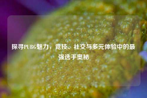 探寻PUBG魅力，竞技、社交与多元体验中的最强选手奥秘
