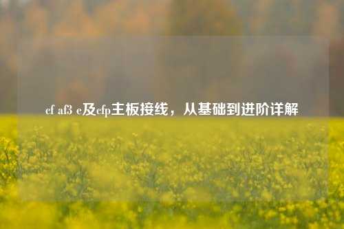 cf af3 e及cfp主板接线，从基础到进阶详解
