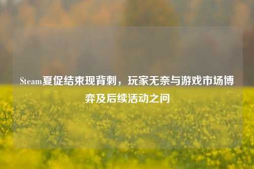 Steam夏促结束现背刺,玩家无奈与游戏市场博弈及后续活动之问