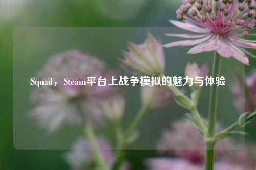 Squad,Steam平台上战争模拟的魅力与体验