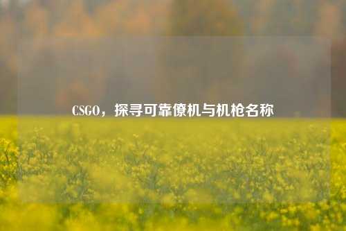 CSGO，探寻可靠僚机与机枪名称