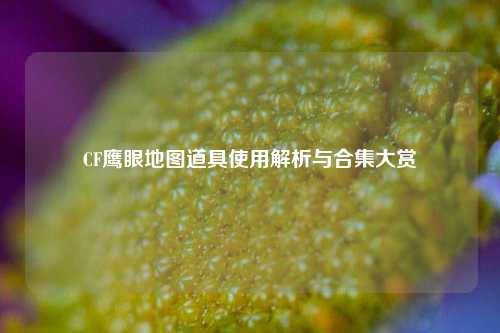 CF鹰眼地图道具使用解析与合集大赏