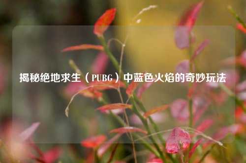 揭秘绝地求生（PUBG）中蓝色火焰的奇妙玩法