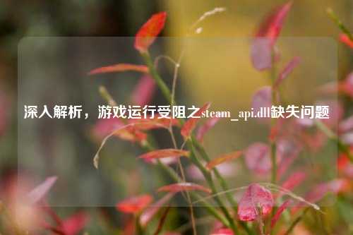 深入解析，游戏运行受阻之steam_api.dll缺失问题
