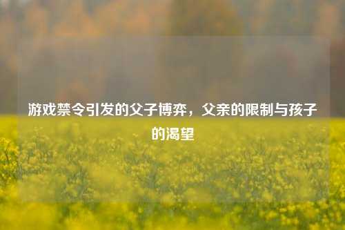 游戏禁令引发的父子博弈,父亲的限制与孩子的渴望